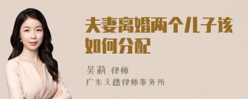 夫妻离婚两个儿子该如何分配