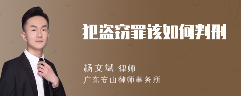 犯盗窃罪该如何判刑