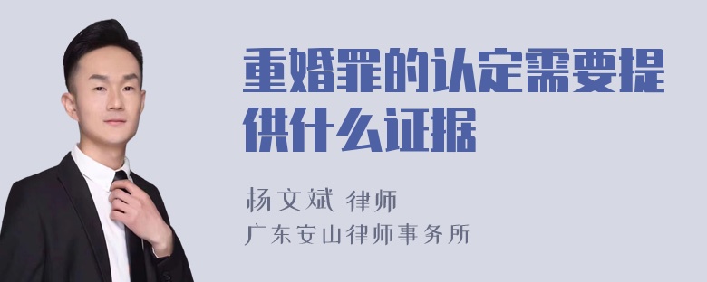 重婚罪的认定需要提供什么证据