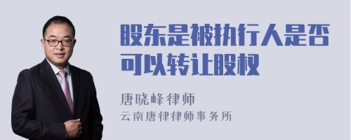 股东是被执行人是否可以转让股权