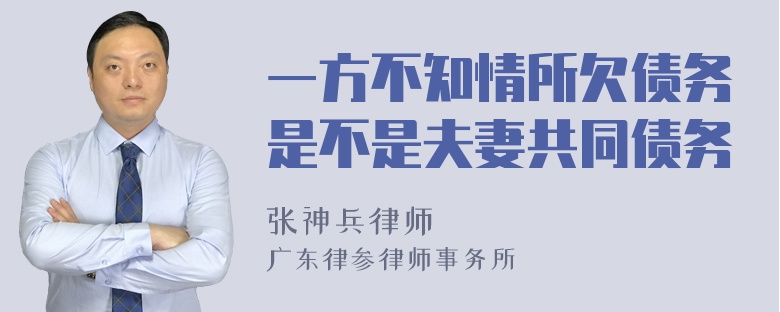 一方不知情所欠债务是不是夫妻共同债务