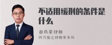 不适用缓刑的条件是什么