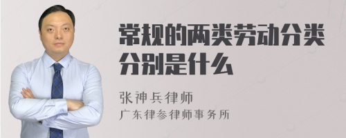 常规的两类劳动分类分别是什么