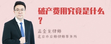 破产费用究竟是什么？