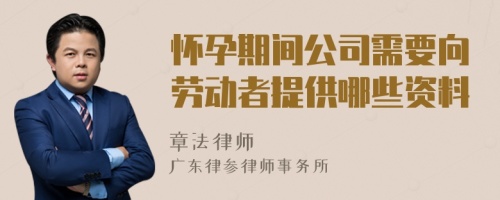 怀孕期间公司需要向劳动者提供哪些资料