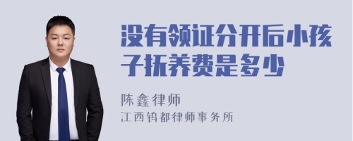 没有领证分开后小孩子抚养费是多少