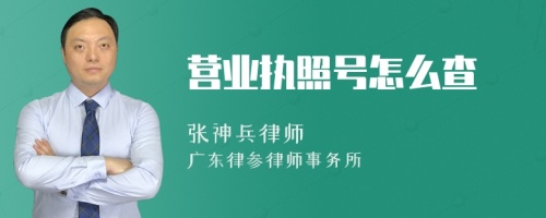 营业执照号怎么查