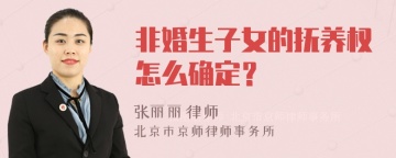 非婚生子女的抚养权怎么确定？