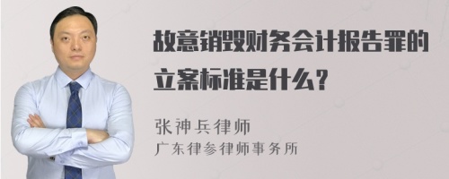 故意销毁财务会计报告罪的立案标准是什么？