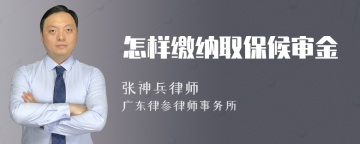 怎样缴纳取保候审金