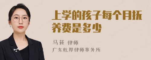 上学的孩子每个月抚养费是多少