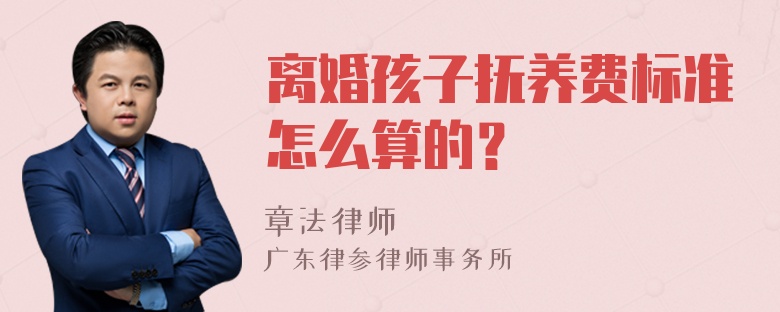 离婚孩子抚养费标准怎么算的？