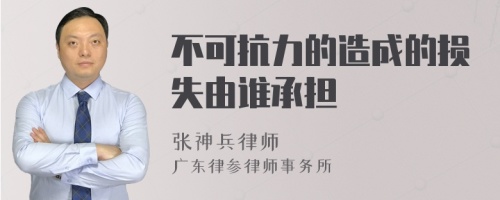 不可抗力的造成的损失由谁承担