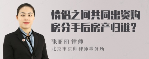 情侣之间共同出资购房分手后房产归谁？