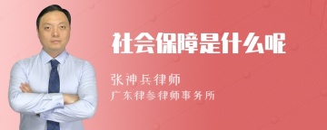 社会保障是什么呢