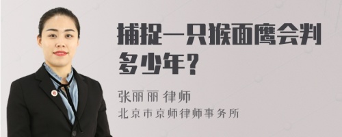 捕捉一只猴面鹰会判多少年？