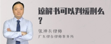 谅解书可以判缓刑么？