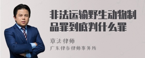 非法运输野生动物制品罪到底判什么罪