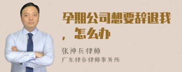 孕期公司想要辞退我，怎么办