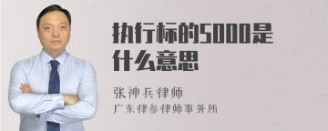 执行标的5000是什么意思