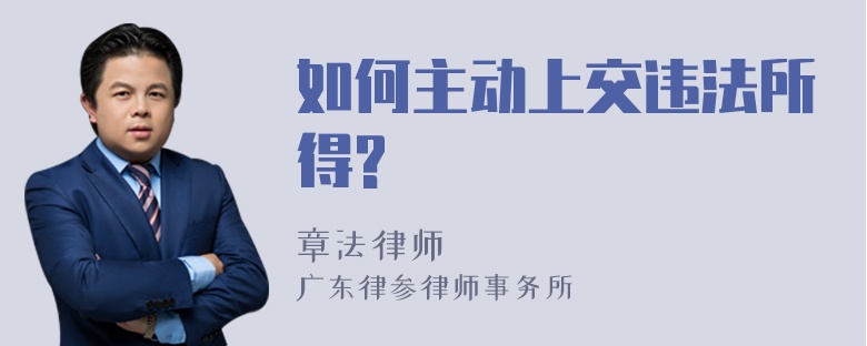 如何主动上交违法所得?