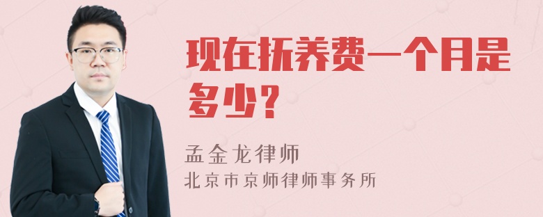 现在抚养费一个月是多少？