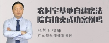 农村宅基地自建房法院有拍卖成功案例吗