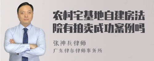 农村宅基地自建房法院有拍卖成功案例吗