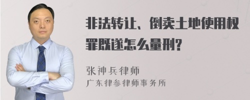 非法转让、倒卖土地使用权罪既遂怎么量刑?