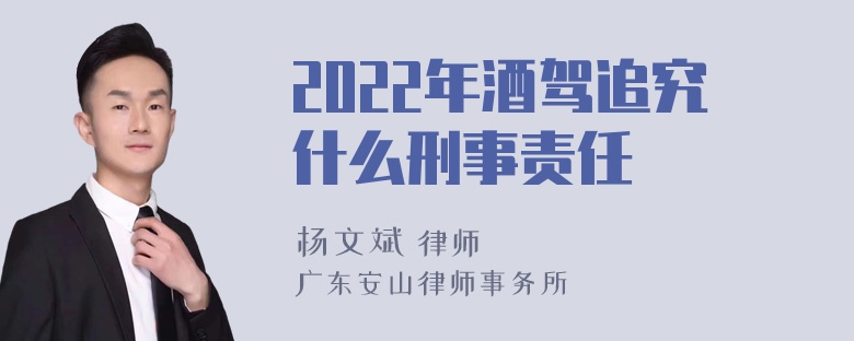 2022年酒驾追究什么刑事责任