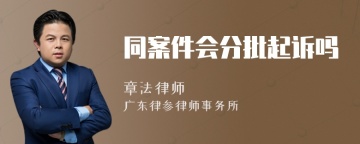 同案件会分批起诉吗