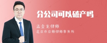 分公司可以破产吗