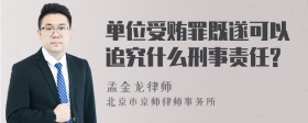 单位受贿罪既遂可以追究什么刑事责任?