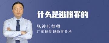 什么是逃税罪的