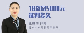 19盗窃5000元能判多久