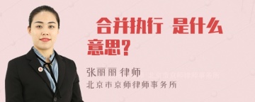  合并执行 是什么意思?