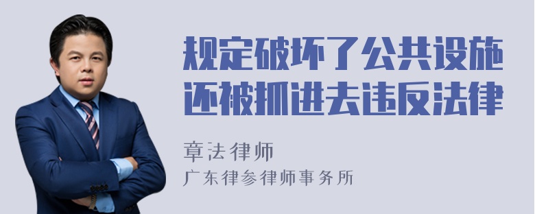 规定破坏了公共设施还被抓进去违反法律