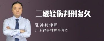 二级轻伤判刑多久