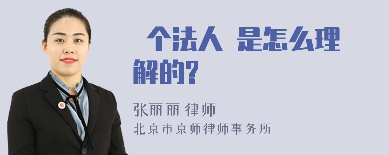  个法人 是怎么理解的?