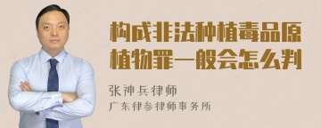 构成非法种植毒品原植物罪一般会怎么判