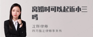 离婚时可以起诉小三吗