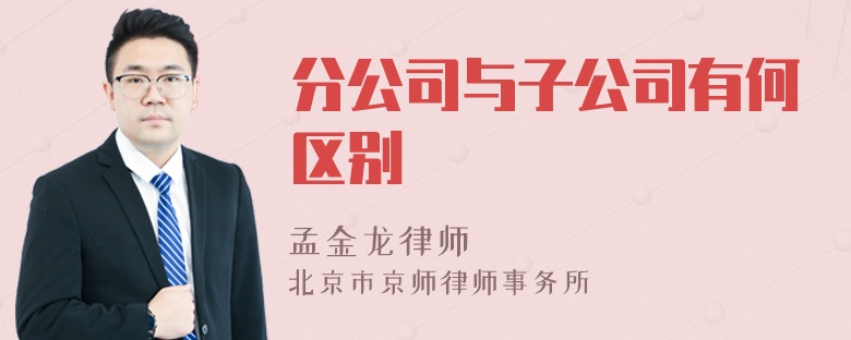 分公司与子公司有何区别