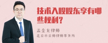 技术入股股东享有哪些权利？