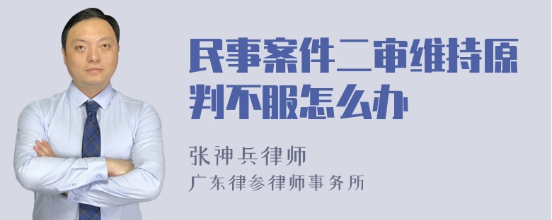 民事案件二审维持原判不服怎么办