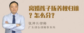 离婚孩子抚养权归谁？怎么分？