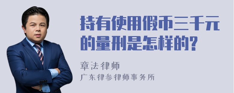 持有使用假币三千元的量刑是怎样的?