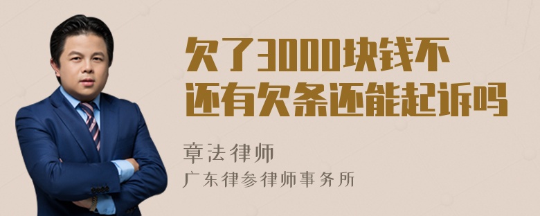 欠了3000块钱不还有欠条还能起诉吗