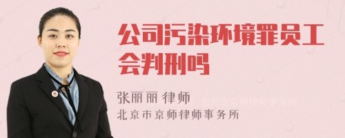 公司污染环境罪员工会判刑吗