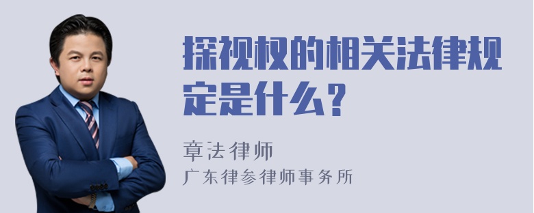 探视权的相关法律规定是什么？