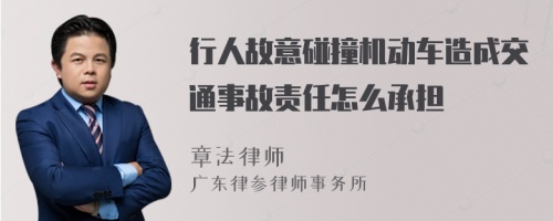 行人故意碰撞机动车造成交通事故责任怎么承担